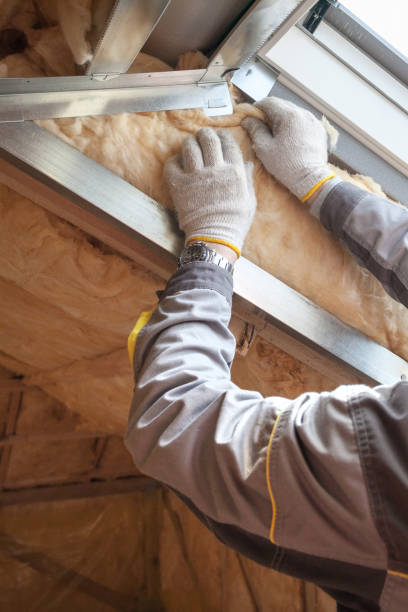 Best Basement Insulation  in Wheeling, IL